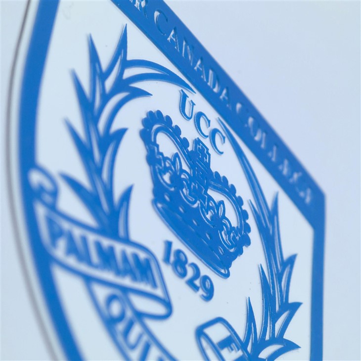 3d silicone heat transfer sticker